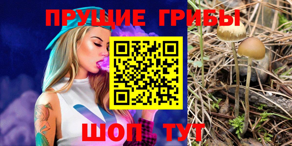Галлюциногенные грибы Psilocybe  Псилоцибиновые грибы Cubensis  Вход с VPN  Новосибирск 
