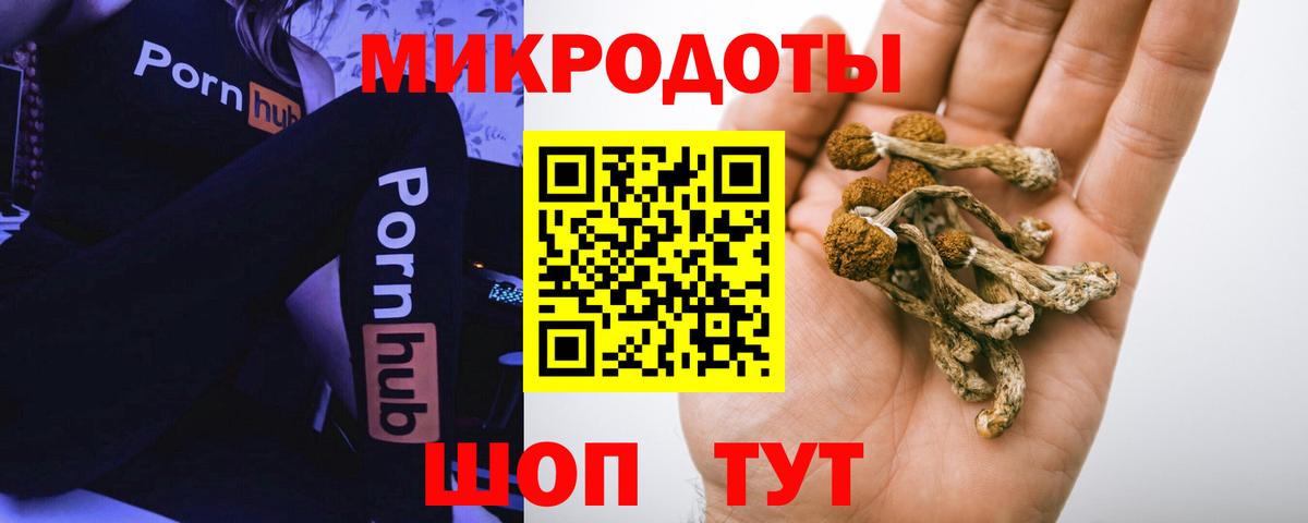 Галлюциногенные грибы GOLDEN TEACHER Новосибирск